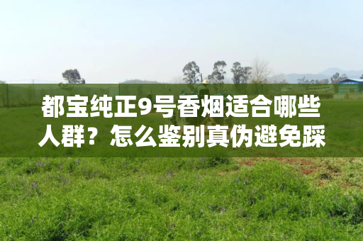 都宝纯正9号香烟适合哪些人群？怎么鉴别真伪避免踩坑？