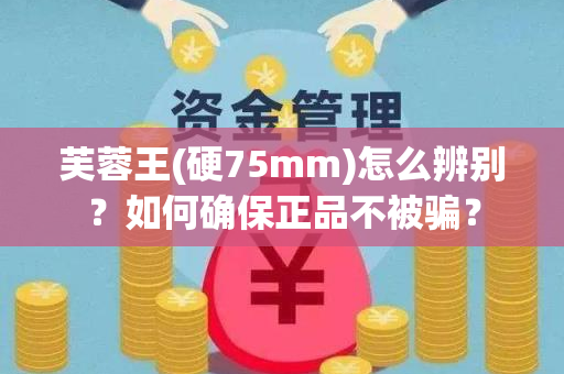 芙蓉王(硬75mm)怎么辨别？如何确保正品不被骗？